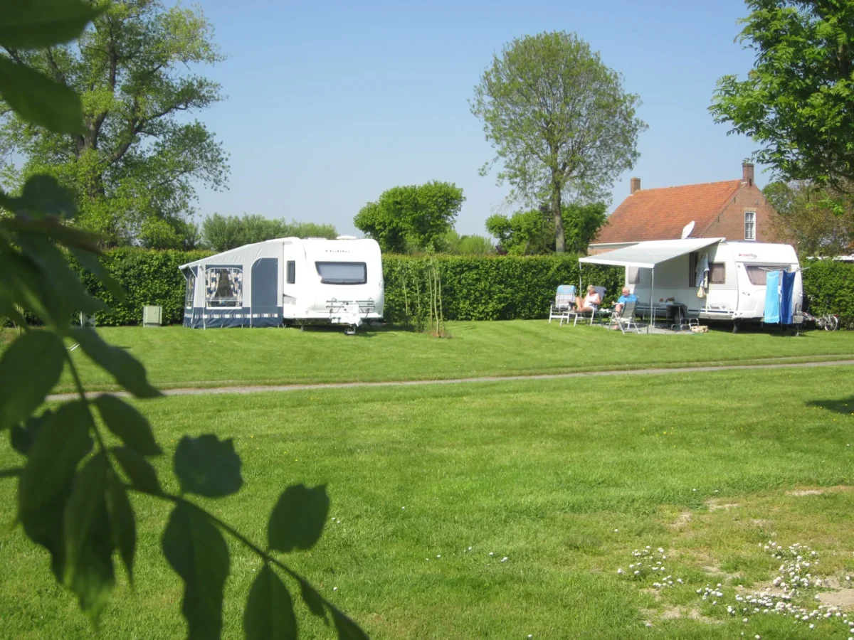 Basis kampeerplaats op Camping Wulpen Cadzand