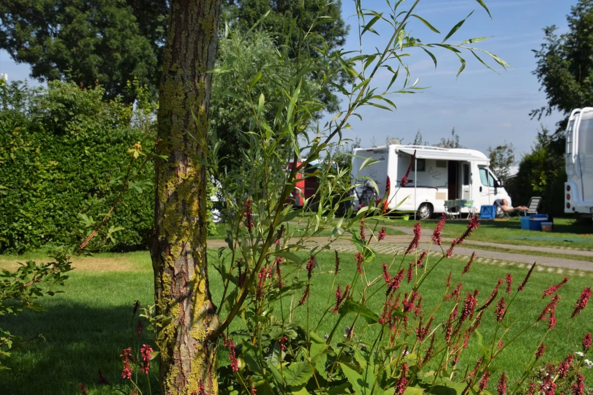 Camperplaats op Camping Wulpen