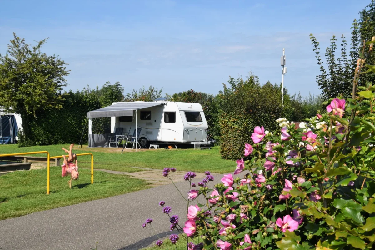 Comfort kampeerplaats met caravans op Camping Wulpen in Cadzand