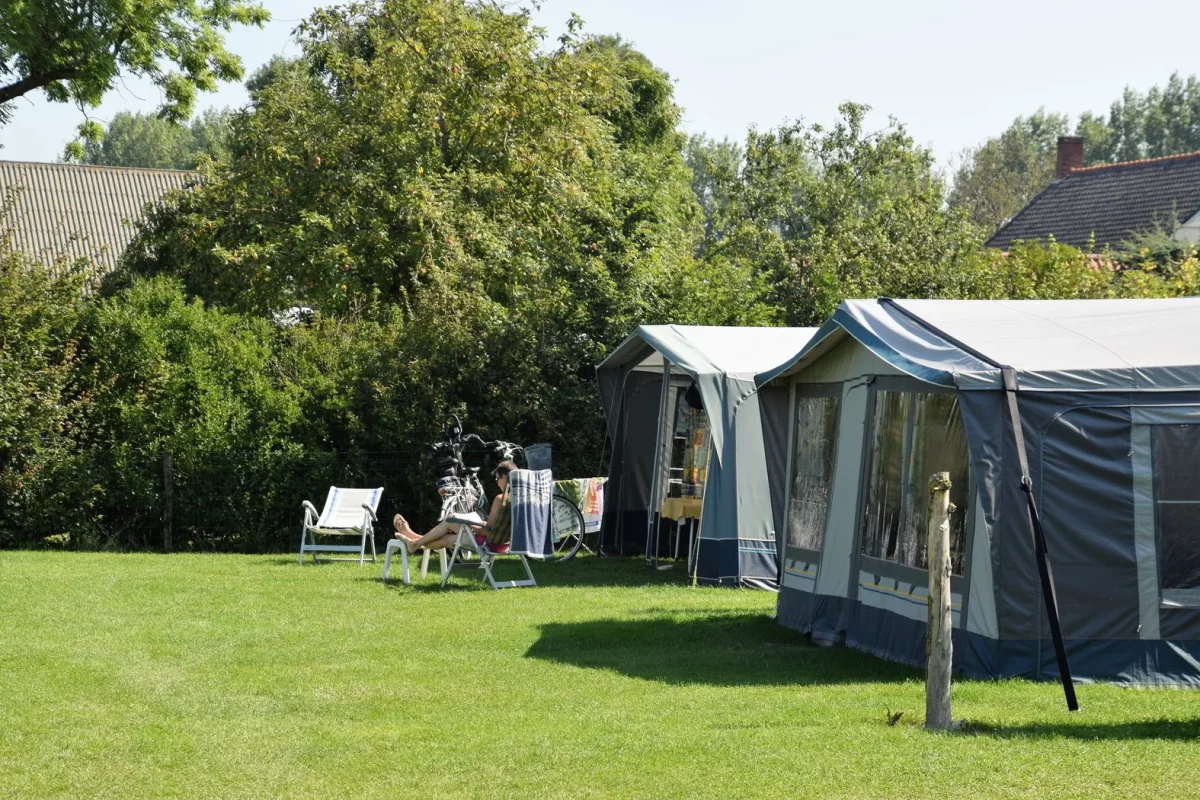 Kampeerveld met tenten op Camping Wulpen