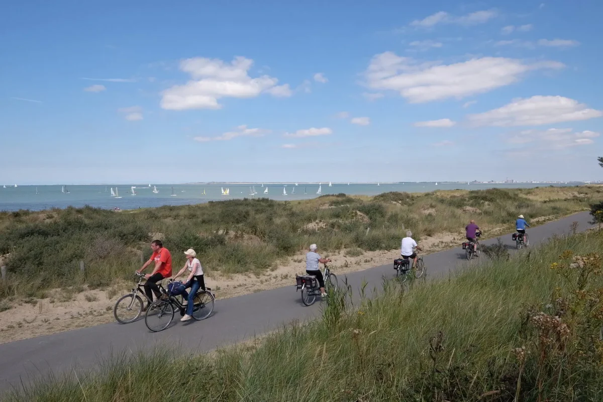 Fietsers op de duinen langs de Zeeuwse kust.