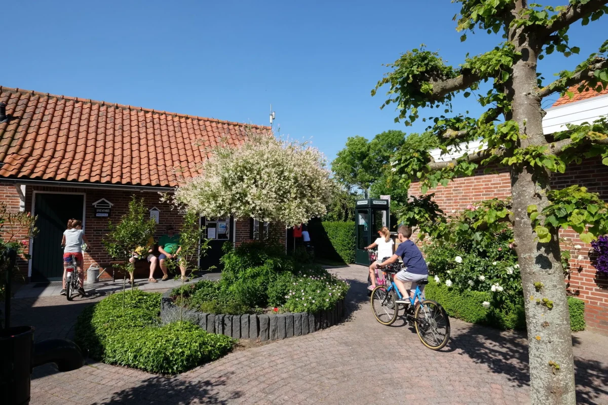 Het centrale pleintje van Camping Wulpen in Cadzand