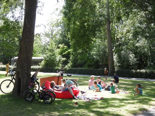 De omgeving van Camping Wulpen - Groede Podium